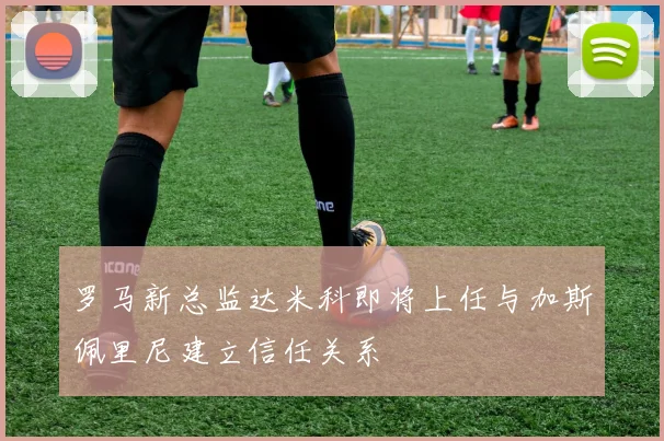罗马新总监达米科即将上任与加斯佩里尼建立信任关系